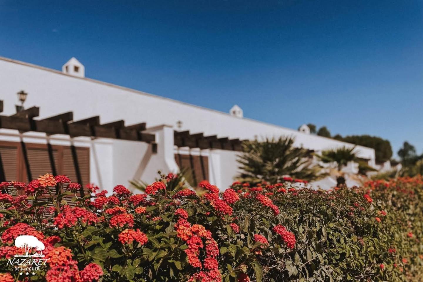 Hotel Complejo Turistico Rural Nazaret De Moguer Exteriér fotografie