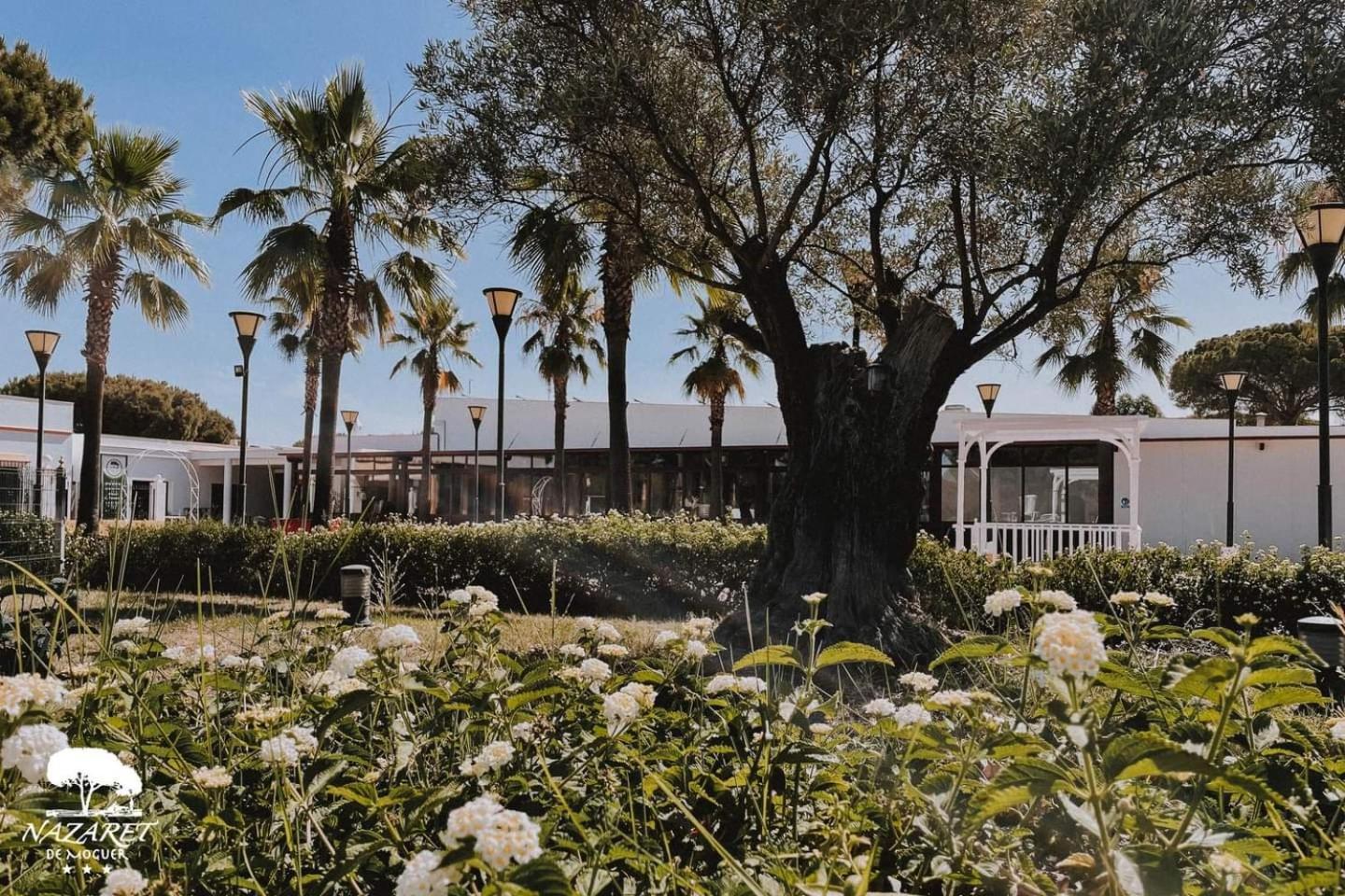Hotel Complejo Turistico Rural Nazaret De Moguer Exteriér fotografie